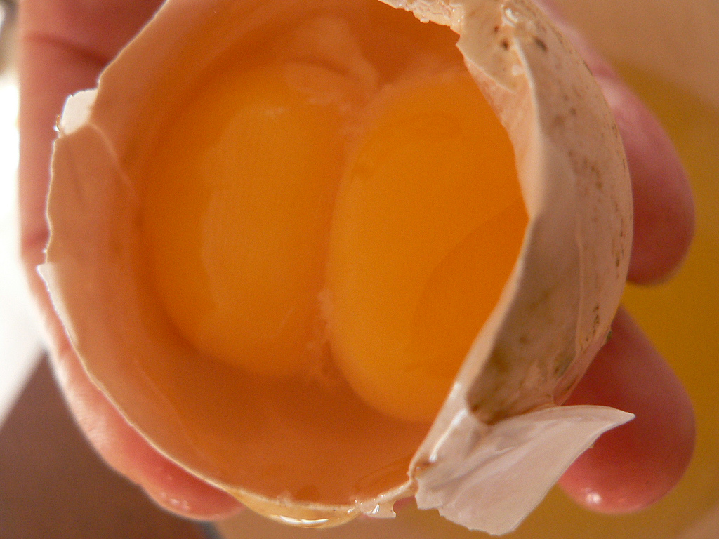  Twin ducklings hatch from same egg
